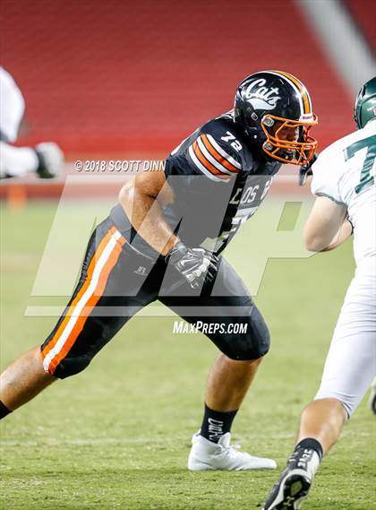 Thumbnail 2 in Homestead vs Los Gatos (Levi's Stadium Series) photogallery.