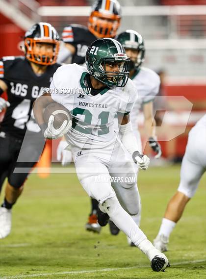 Thumbnail 1 in Homestead vs Los Gatos (Levi's Stadium Series) photogallery.