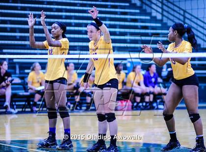 Thumbnail 1 in Naaman Forest vs Richardson (GISD Volleyball Tournament) photogallery.