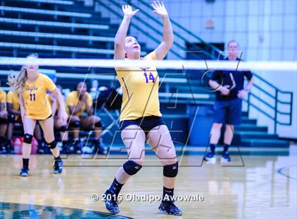 Thumbnail 1 in Naaman Forest vs Richardson (GISD Volleyball Tournament) photogallery.