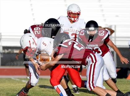 Thumbnail 2 in Liberty vs Desert Oasis photogallery.
