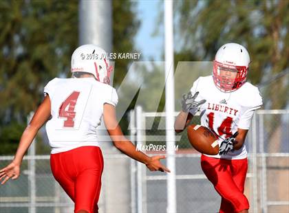Thumbnail 3 in Liberty vs Desert Oasis photogallery.