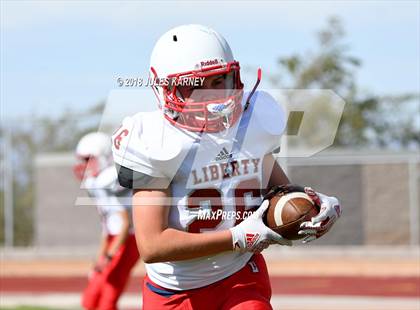 Thumbnail 1 in Liberty vs Desert Oasis photogallery.