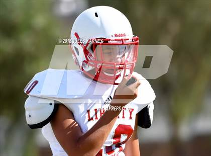 Thumbnail 1 in Liberty vs Desert Oasis photogallery.