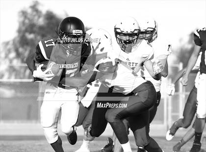 Thumbnail 1 in Liberty vs Desert Oasis photogallery.