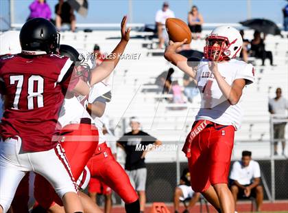 Thumbnail 2 in Liberty vs Desert Oasis photogallery.