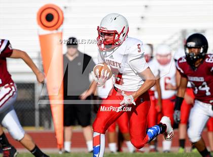 Thumbnail 1 in Liberty vs Desert Oasis photogallery.