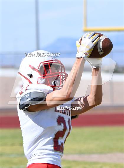 Thumbnail 1 in Liberty vs Desert Oasis photogallery.