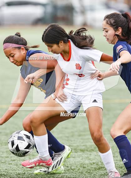 Thumbnail 2 in Washington @ Milpitas photogallery.