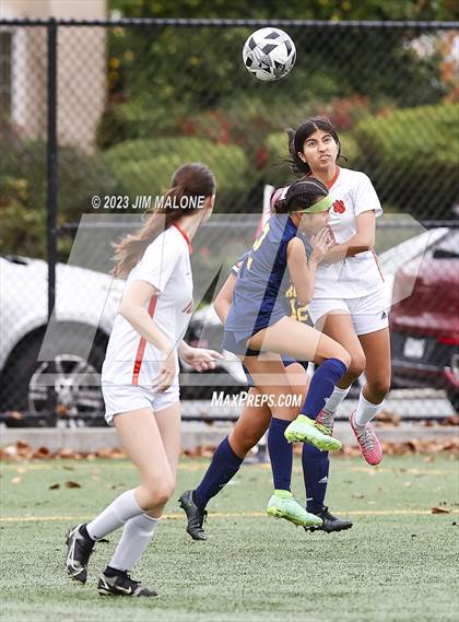 Thumbnail 2 in Washington @ Milpitas photogallery.