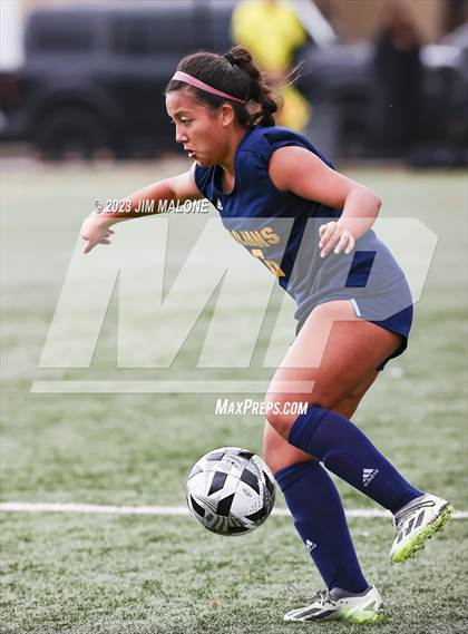 Thumbnail 3 in Washington @ Milpitas photogallery.