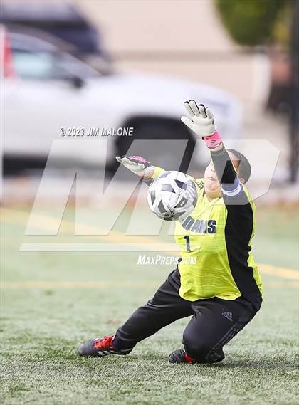 Thumbnail 2 in Washington @ Milpitas photogallery.