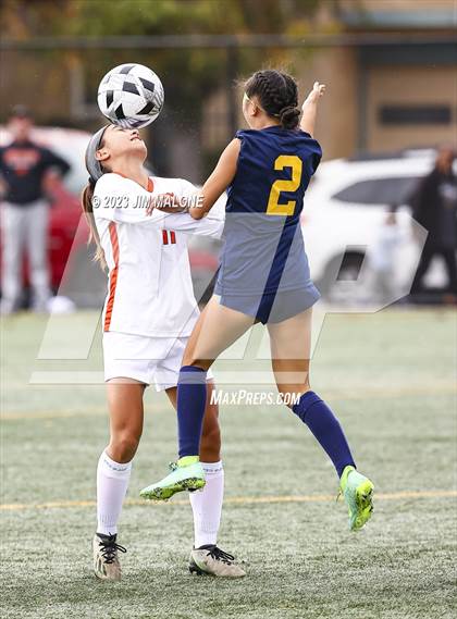 Thumbnail 1 in Washington @ Milpitas photogallery.