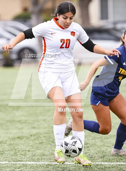Thumbnail 2 in Washington @ Milpitas photogallery.