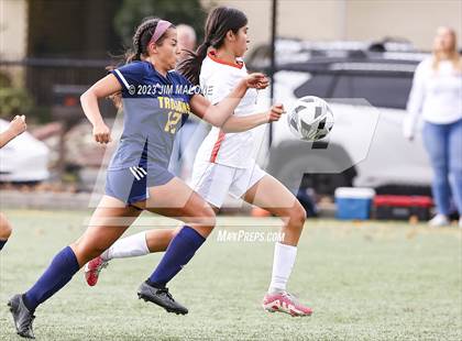 Thumbnail 3 in Washington @ Milpitas photogallery.