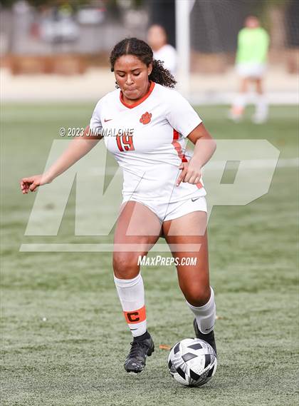 Thumbnail 3 in Washington @ Milpitas photogallery.