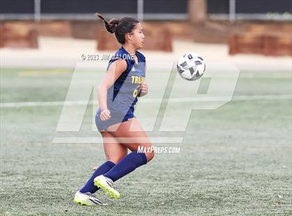 Thumbnail 2 in Washington @ Milpitas photogallery.