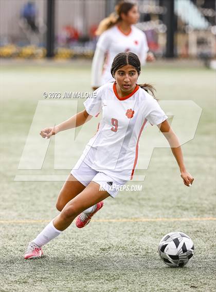 Thumbnail 3 in Washington @ Milpitas photogallery.