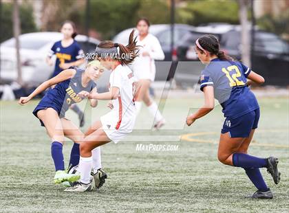 Thumbnail 1 in Washington @ Milpitas photogallery.