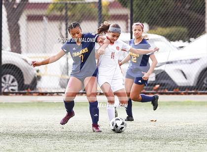 Thumbnail 3 in Washington @ Milpitas photogallery.