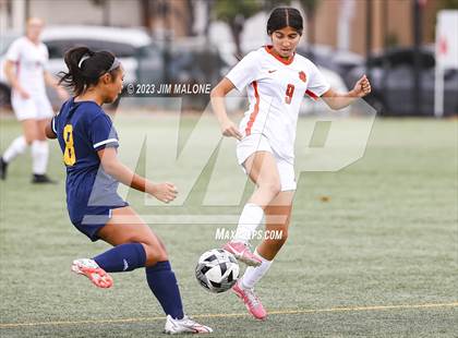 Thumbnail 1 in Washington @ Milpitas photogallery.