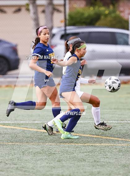 Thumbnail 1 in Washington @ Milpitas photogallery.