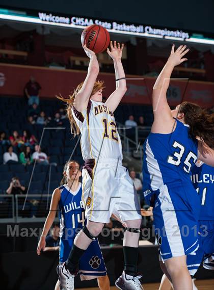 Thumbnail 2 in Wiley vs. Kim (CHSAA 1A Final) photogallery.