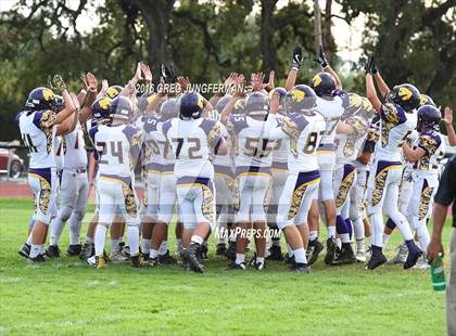 Thumbnail 2 in Ukiah @ Cardinal Newman photogallery.