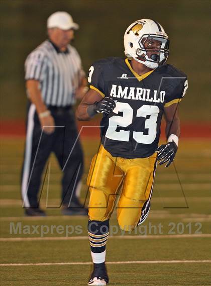 Thumbnail 1 in Amarillo @ Palo Duro photogallery.