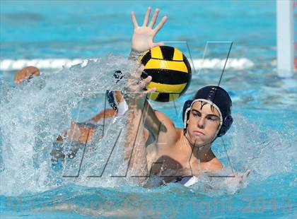Thumbnail 3 in Fountain Valley @ Yorba Linda photogallery.