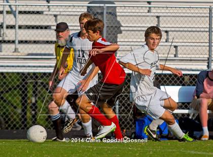 Thumbnail 1 in Jacksonville @ Havelock photogallery.