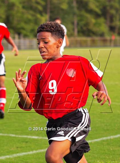 Thumbnail 3 in Jacksonville @ Havelock photogallery.