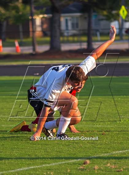 Thumbnail 1 in Jacksonville @ Havelock photogallery.