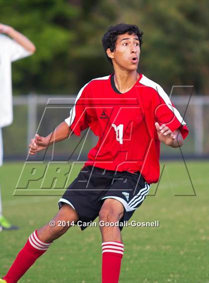 Thumbnail 2 in Jacksonville @ Havelock photogallery.