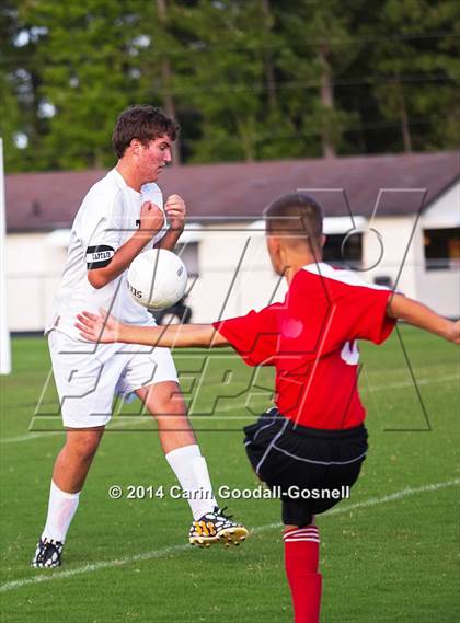 Thumbnail 2 in Jacksonville @ Havelock photogallery.