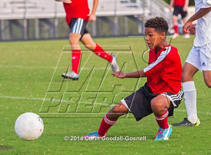 Thumbnail 1 in Jacksonville @ Havelock photogallery.