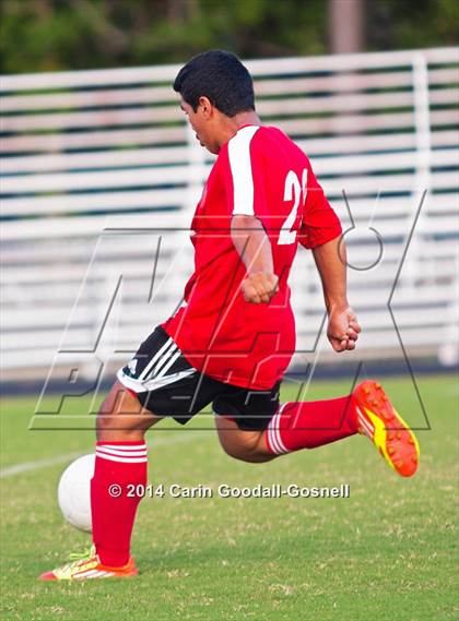 Thumbnail 2 in Jacksonville @ Havelock photogallery.