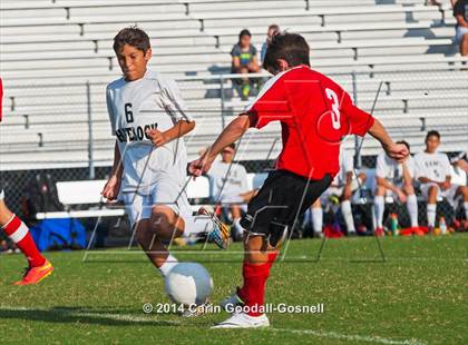 Thumbnail 3 in Jacksonville @ Havelock photogallery.