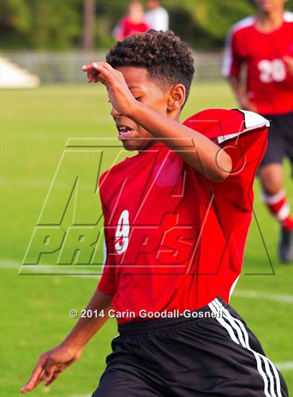 Thumbnail 1 in Jacksonville @ Havelock photogallery.