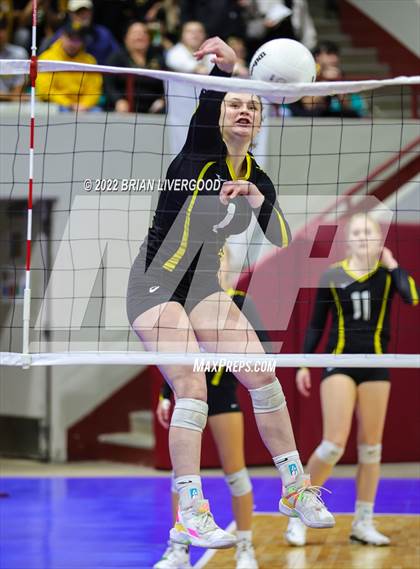 Thumbnail 2 in Windsor vs. Thompson Valley (CHSAA 4A State Championships Final) photogallery.