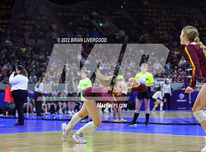 Thumbnail 1 in Windsor vs. Thompson Valley (CHSAA 4A State Championships Final) photogallery.