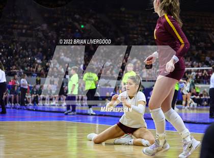 Thumbnail 1 in Windsor vs. Thompson Valley (CHSAA 4A State Championships Final) photogallery.
