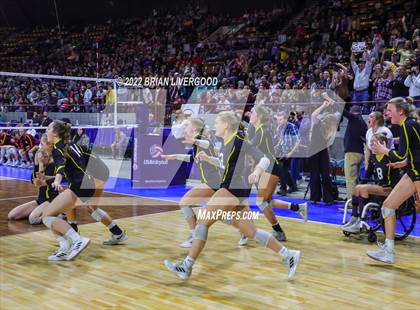 Thumbnail 1 in Windsor vs. Thompson Valley (CHSAA 4A State Championships Final) photogallery.