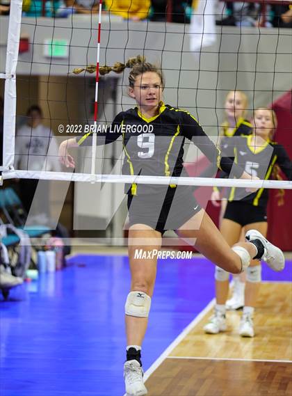 Thumbnail 1 in Windsor vs. Thompson Valley (CHSAA 4A State Championships Final) photogallery.