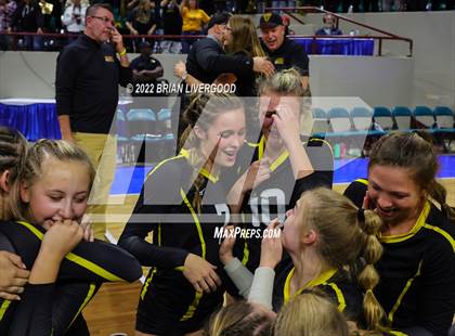 Thumbnail 1 in Windsor vs. Thompson Valley (CHSAA 4A State Championships Final) photogallery.