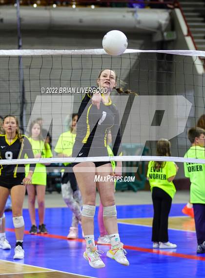 Thumbnail 3 in Windsor vs. Thompson Valley (CHSAA 4A State Championships Final) photogallery.