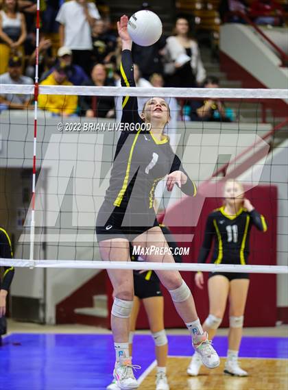 Thumbnail 1 in Windsor vs. Thompson Valley (CHSAA 4A State Championships Final) photogallery.