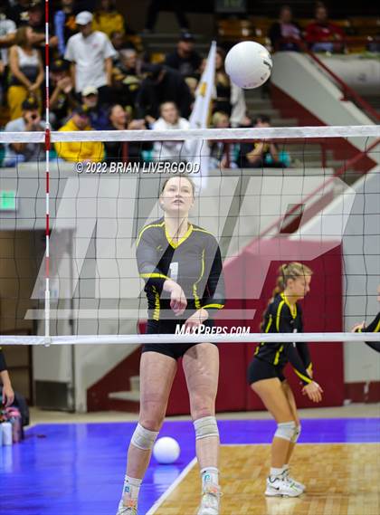 Thumbnail 2 in Windsor vs. Thompson Valley (CHSAA 4A State Championships Final) photogallery.