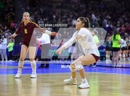 Thumbnail 3 in Windsor vs. Thompson Valley (CHSAA 4A State Championships Final) photogallery.