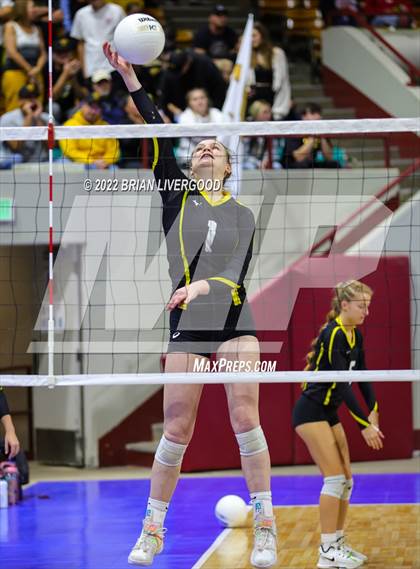 Thumbnail 3 in Windsor vs. Thompson Valley (CHSAA 4A State Championships Final) photogallery.